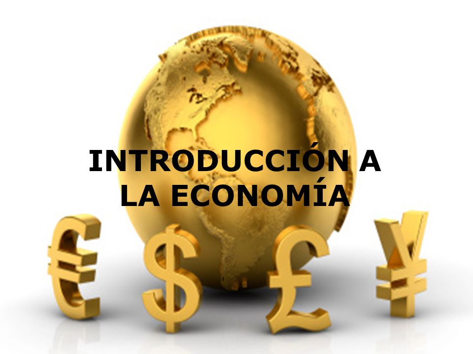 introduccion a la economia resumen